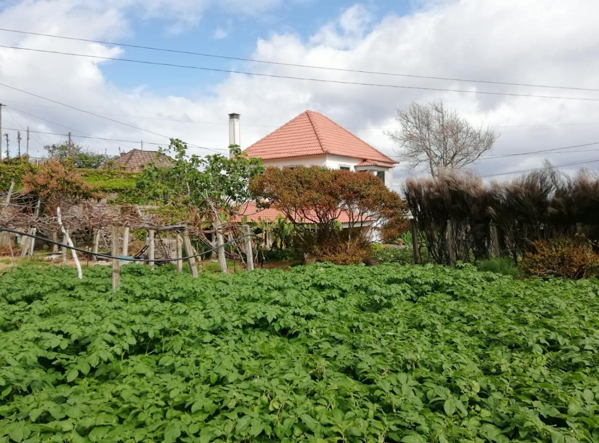 Willa Avo Lucindinha House - Porto Moniz Zewnętrze zdjęcie