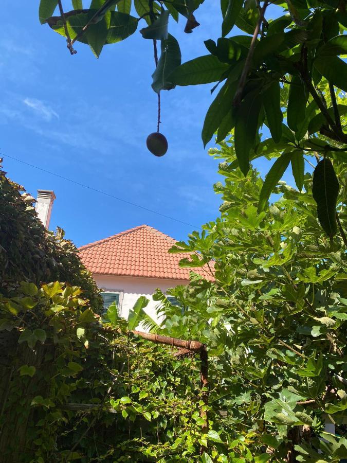 Willa Avo Lucindinha House - Porto Moniz Zewnętrze zdjęcie